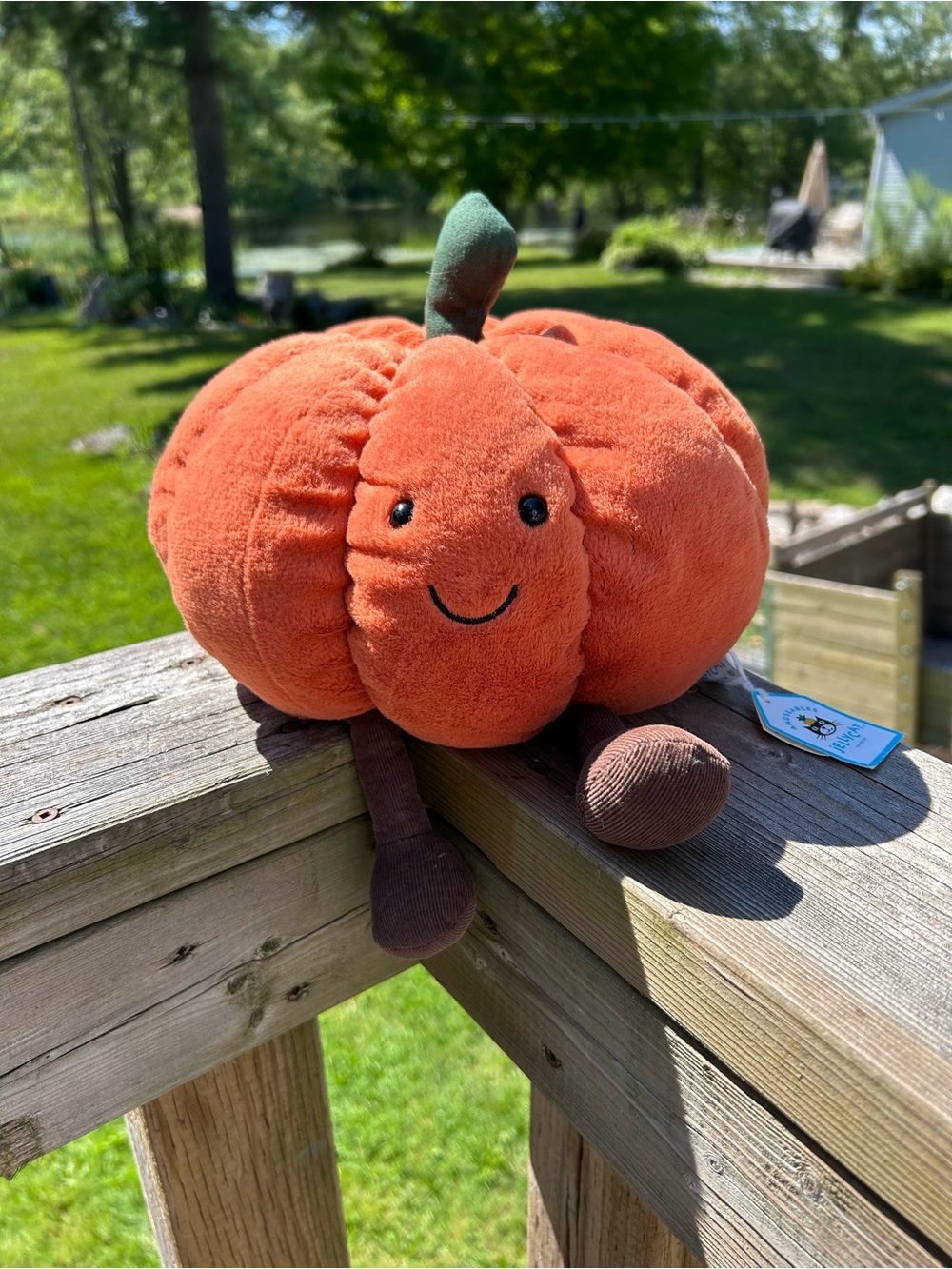 RETIRED Amusable Pumpkin Jellycat NWT
